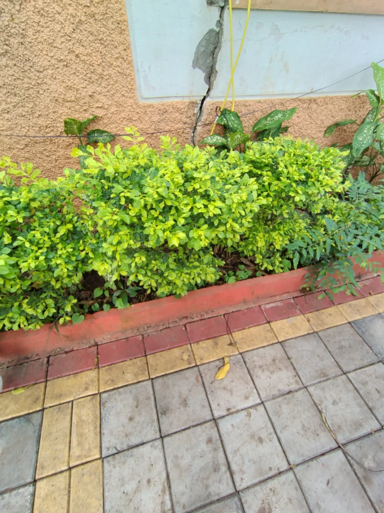 Moto G85 5G Camera Sample