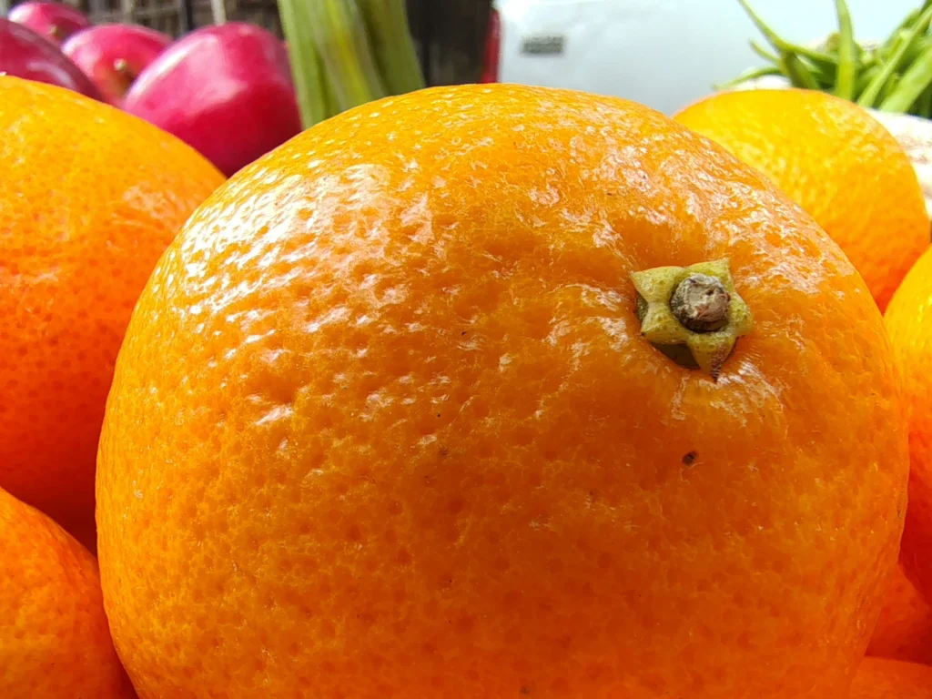 Moto G85 5G Camera Sample